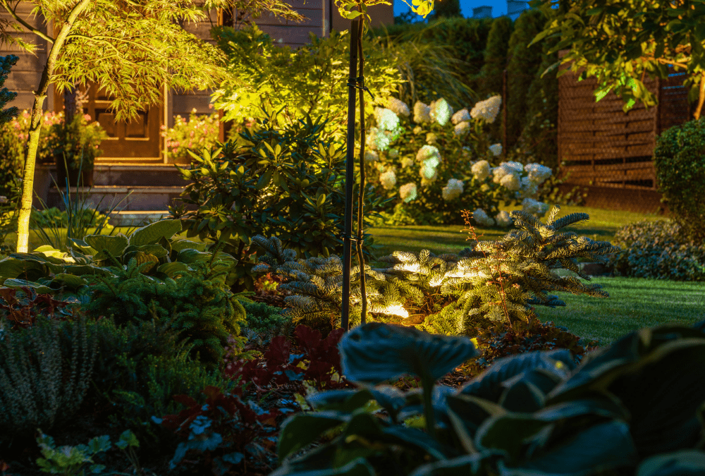 Lighting Up Your Landscape: Landscape Lighting Options for More Light in Your Outdoor Space