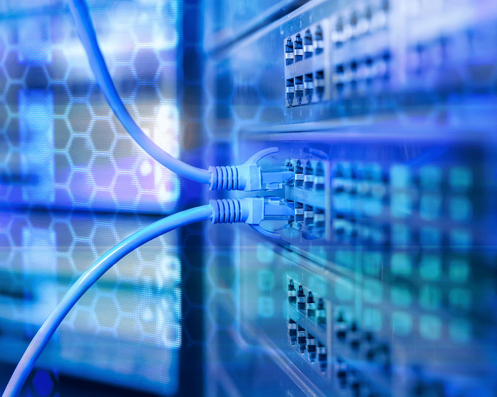 Preventing Network Downtime in Your Business Business Networking Solutions Cat 6 connection